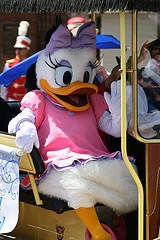 Daisy Duck (Pre-Parade)