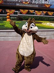 Chip
