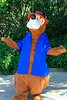 Brer Bear
