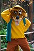 Brer Fox