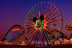 Disney California Adventure