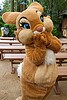 Miss Bunny
