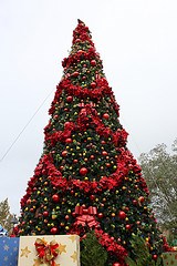 Christmas Trees and Decorations