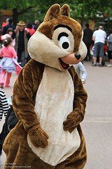 Chip (Random)