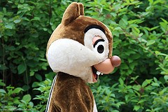 Dale (Random)