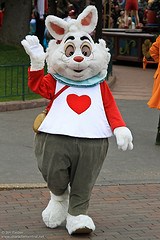 White Rabbit (Random Rare)