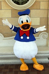 Donald Duck (Random)
