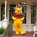 A Socially Distanced Halloween at the Magic Kingdom, Part Three - Pooh and Friends