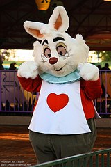 White Rabbit (Random - Near Mad Tea Party)