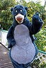 Baloo