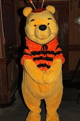 Winnie the Pooh (Fantasyland)