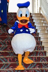 Donald Duck