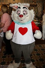 White Rabbit