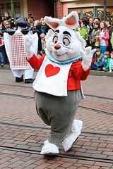 White Rabbit