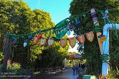 "a bug's land"