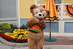 Duffy the Disney Bear