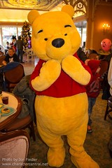 Winnie the Pooh