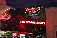 Rainforest Cafe