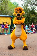 Timon