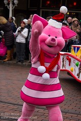 Piglet