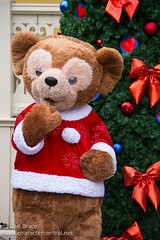 Duffy the Disney Bear