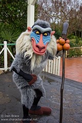 Rafiki