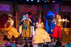 Beauty and the Beast Show