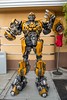 Bumblebee