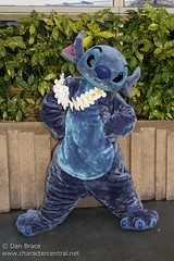 Stitch (Random)