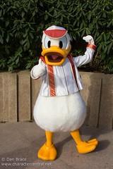 Donald Duck (Random)