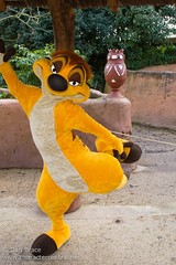 Timon