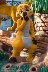 Timon