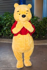 Winnie the Pooh