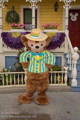 Duffy the Disney Bear