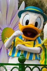 Donald Duck