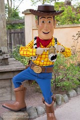 Woody