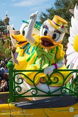 Daisy Duck