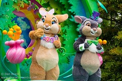 Hippity-Hoppity Springtime