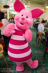 Piglet