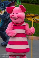 Piglet