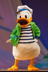 Donald Duck