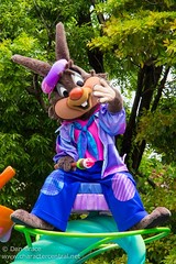 Brer Rabbit