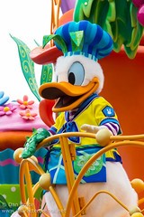 Donald Duck