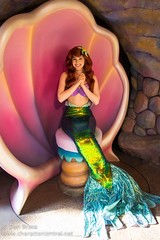 Ariel