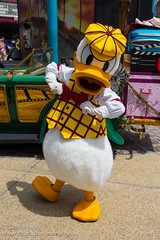 Donald Duck