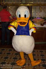 Donald Duck