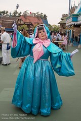 Fairy Godmother