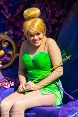 Tinker Bell