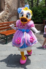 Daisy Duck