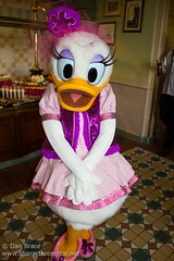 Daisy Duck